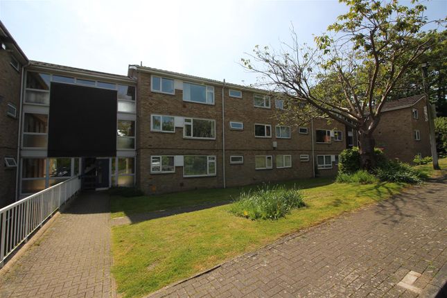 Flat to rent in Old Dover Road, Canterbury