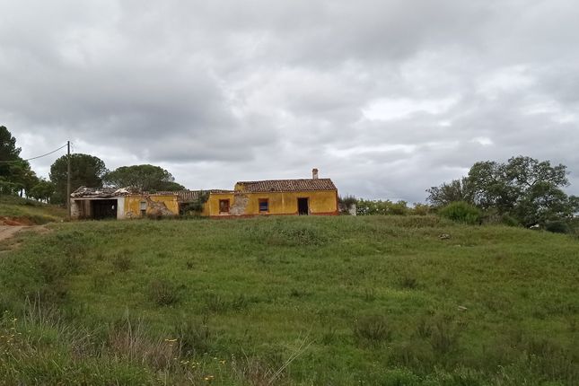 Farm for sale in São Bartolomeu De Messines, São Bartolomeu De Messines, Silves