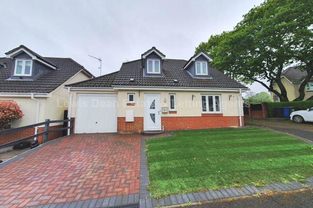 Detached house to rent in Ash Gardens, Poole