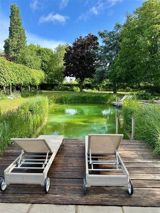 Swimming Pond
