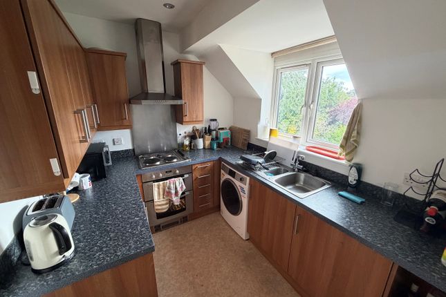 14, Loughborough photo 5