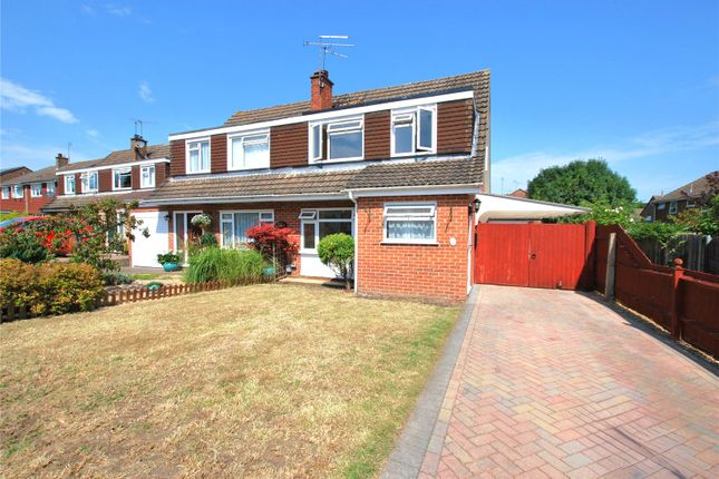 Thumbnail Semi-detached house to rent in Burden Way, Guildford, Surrey