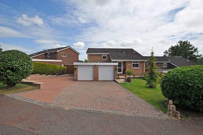 Thumbnail Detached house for sale in Stylish Family House, Springfield Drive, Newport