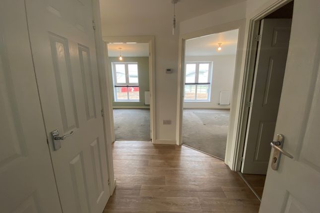 Flat 5, Bristol photo 3