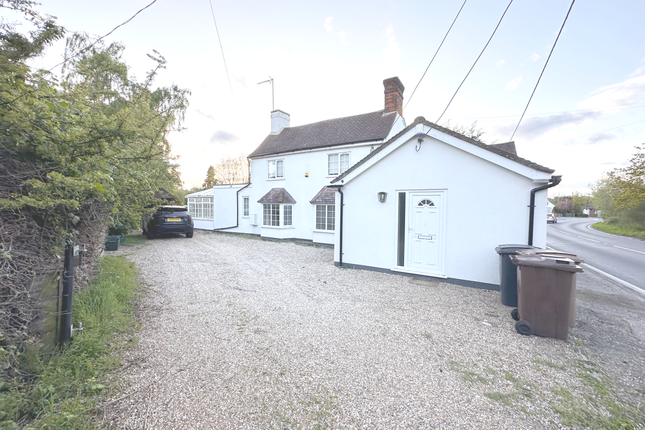 Thumbnail Detached house to rent in Main Road, Bicknacre, Chelmsford