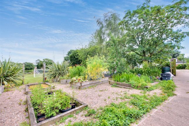 Garden_1.Jpeg
