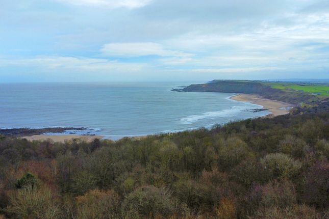 30, Knipe Point Drive, Scarborough photo 2