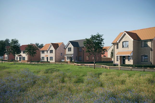 The Ferns, Kennett Garden Village, Newmarket, Kennett photo 2