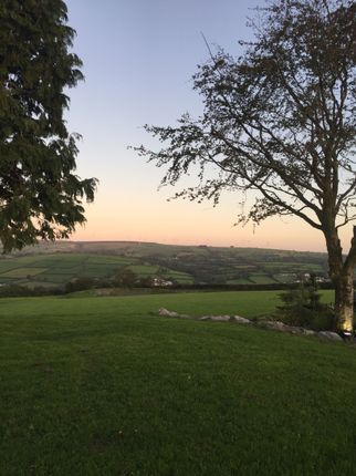 Views Of Brechfa Forest