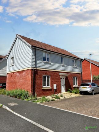 Thumbnail Detached house for sale in Nile Road, Exeter
