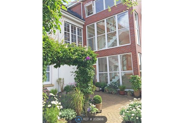 Thumbnail Flat to rent in The Avenues, Exmouth