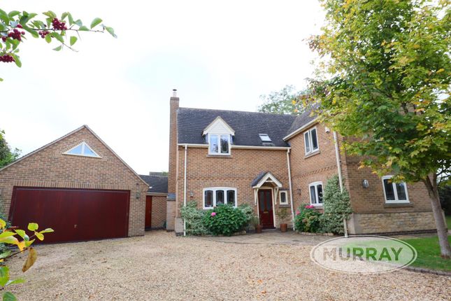 Thumbnail Detached house to rent in Willow Close, Whissendine, Rutland
