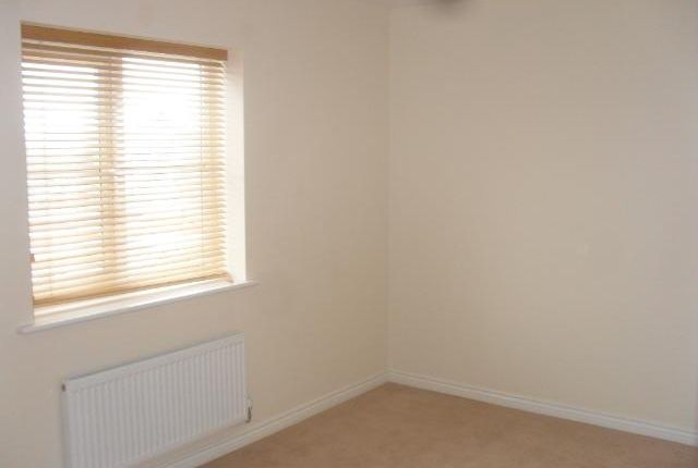 45, Sheffield photo 5
