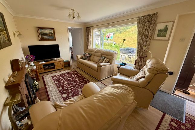 Murmur y Nant, Llanafan photo 4