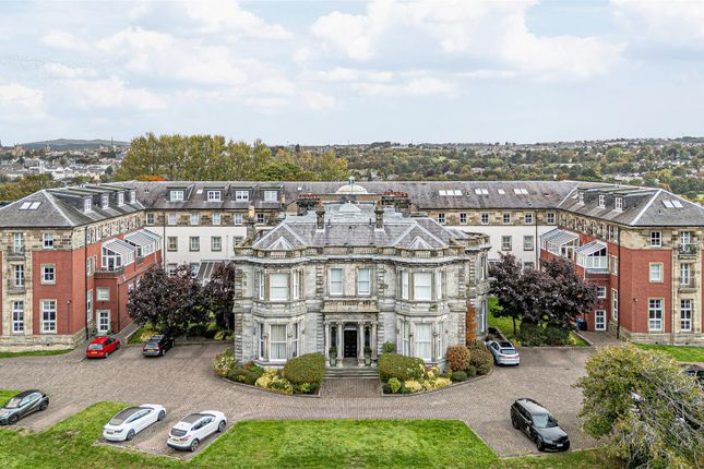 Untitled (1 Of 1).Jpg