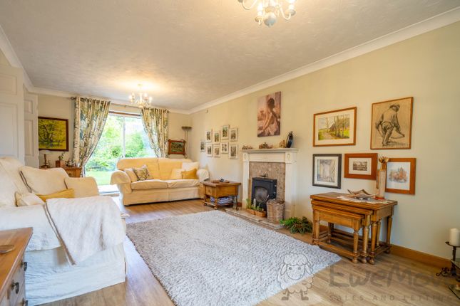 Dual-Aspect Living Room With Woodburner