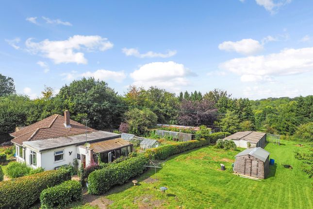 Thumbnail Detached house for sale in Privett Road, Froxfield, Hampshire