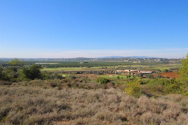 Land for sale in Silves Municipality, Portugal