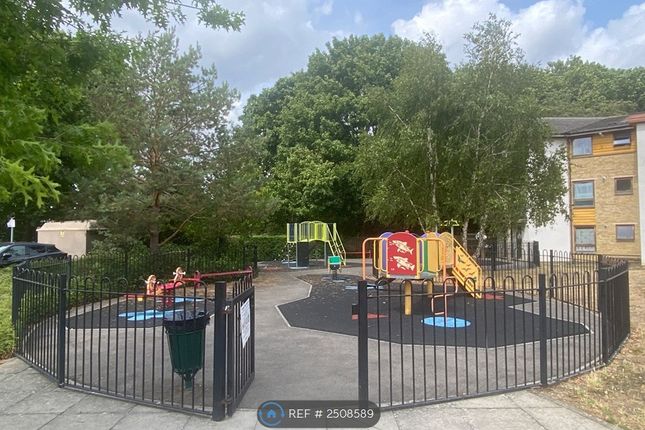 Local Amenities