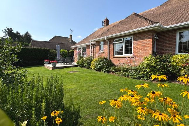 6, Manor Close, Sidmouth photo 3