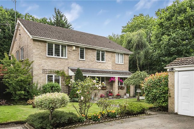 Thumbnail Detached house for sale in Hayes Barton, Pyrford, Surrey