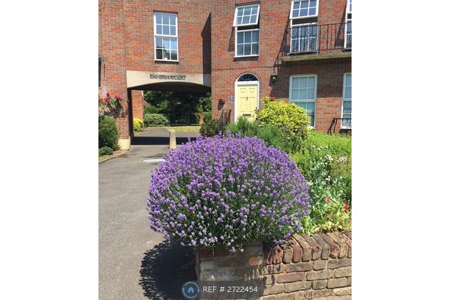 The Front Of The House