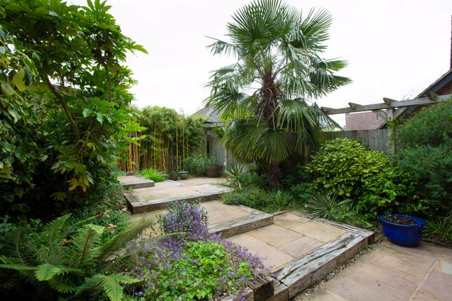 Garden 2