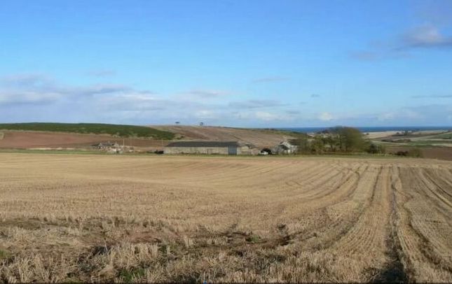 Thumbnail Land for sale in The Steadings, Cotbank Of Barras, Stonehaven, Kincardineshire