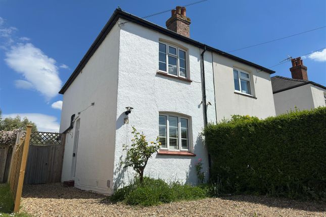 Sunny Front Shot.Jpg