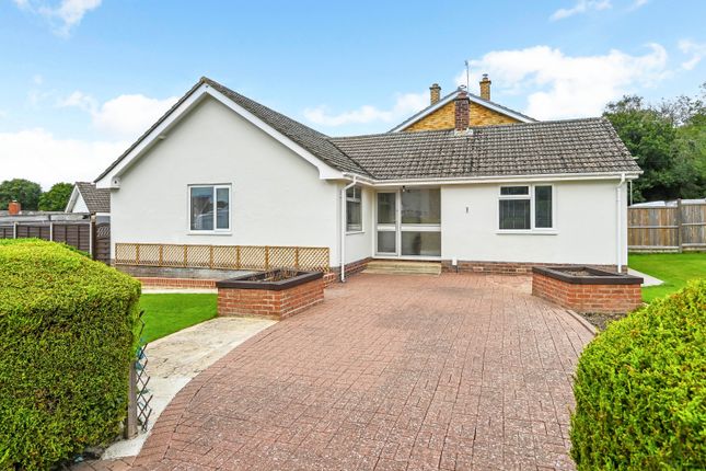 Detached bungalow for sale in Bourne Close, Horndean, Waterlooville