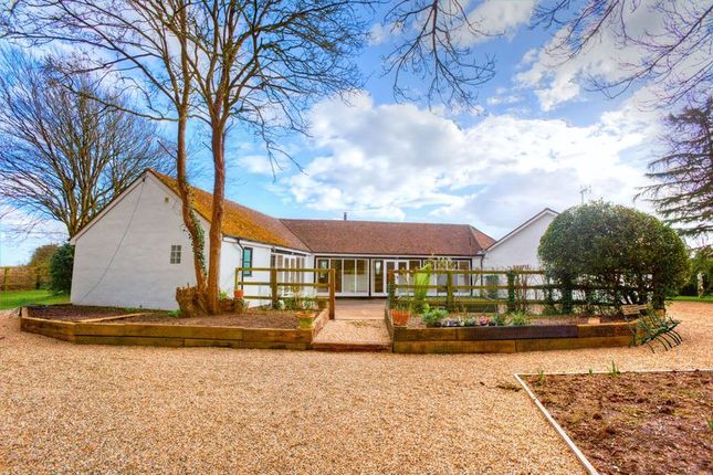 Thumbnail Detached house for sale in Hebing End, Benington, Hertfordshire