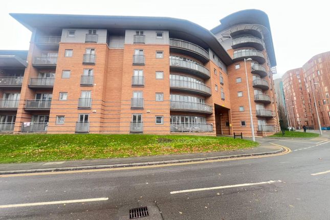 Photo-2025-11-11-13-09-24