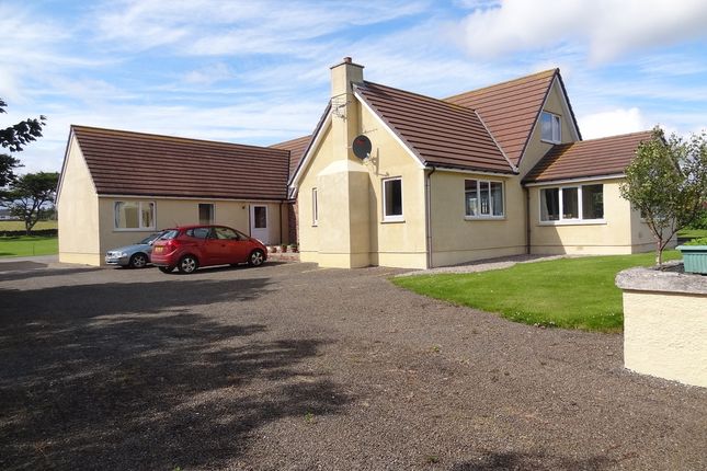 Detached house for sale in Dunbeath