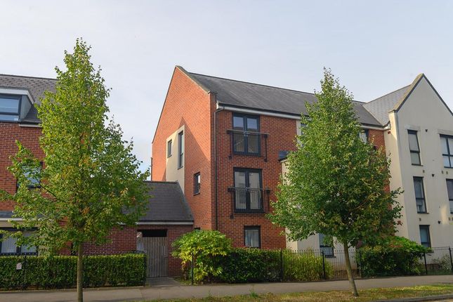 Front Aspect.Jpg