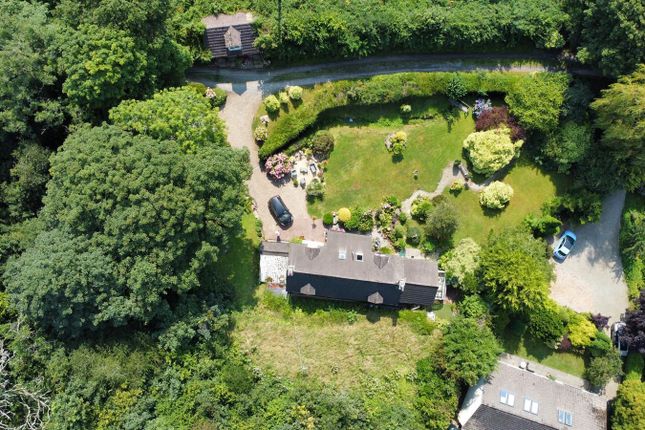 Snowdrop Cottage, Narberth photo 4