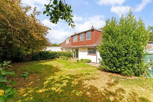 53, Harpesford Avenue, Virginia Water photo 3