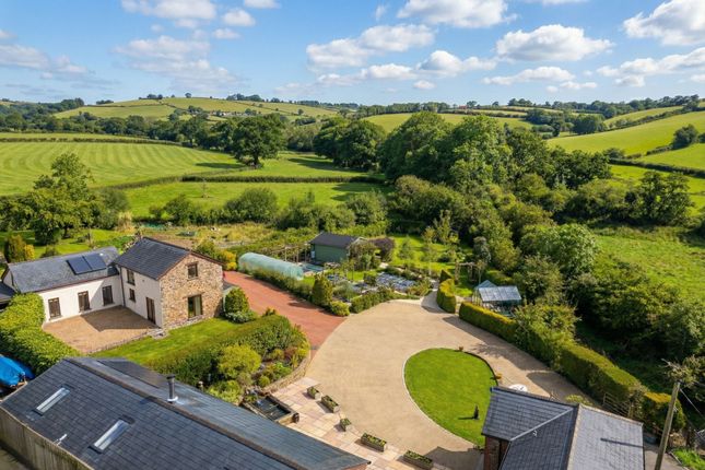 Creedy Warren, Crediton photo 4