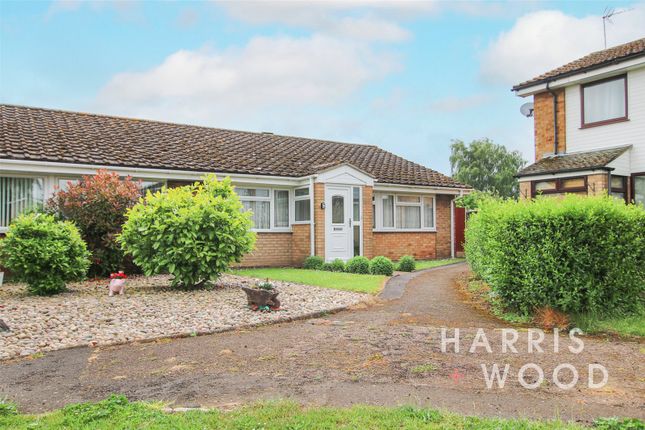 3 bed bungalow for sale in Broom Knoll, East Bergholt, Colchester, Suffolk CO7