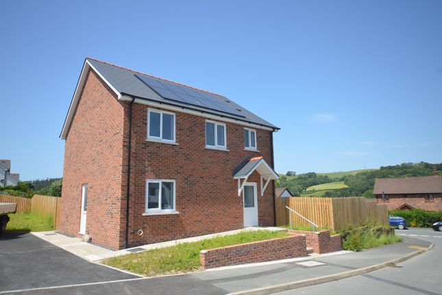 41, Dolymeillion, Llanilar photo 2