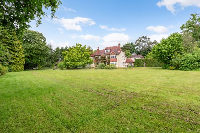 Thumbnail Detached house for sale in Lynchborough Road, Liphook