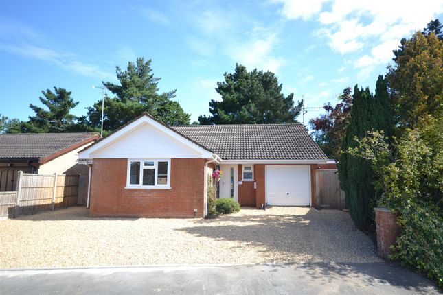 Thumbnail Detached bungalow for sale in Barberry Way, Verwood
