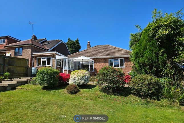 Thumbnail Detached house to rent in Coopers Lane, Crowborough