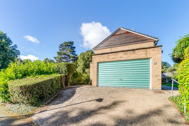 80 Digswell Park Road, Welwyn Garden City, Hertfordshire photo 4