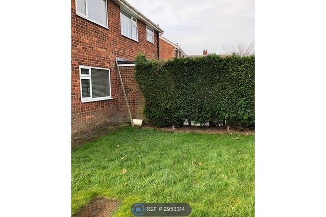 St Leonards Road, Beverley photo 5