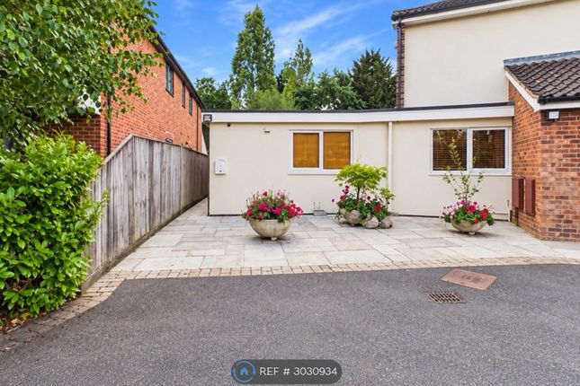 Studio flat on Kingsfield Avenue, Ipswich, £1,150/mo