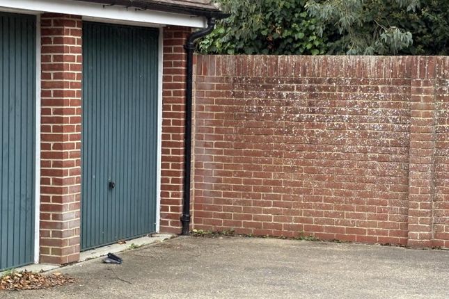 Garage, 6, Albion Place, Canterbury photo 3