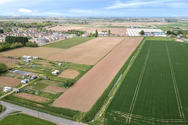 Thumbnail Land for sale in Lot 4 - Hall Marsh Farm, Long Sutton, Spalding, Lincolnshire