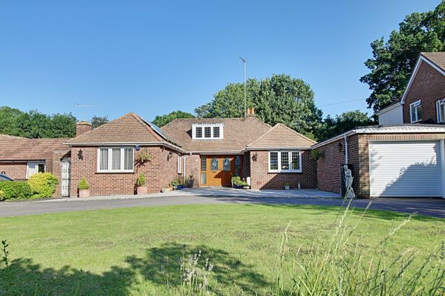 Thumbnail Bungalow for sale in Hertfordshire, Sawbridgeworth