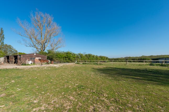 Detached bungalow for sale in Ridgeway Road, Herne Bay, Kent