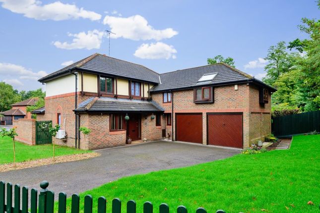 Thumbnail Detached house to rent in Field Park, Bracknell
